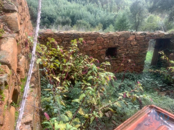 Terreno para Venda em Pedrogão Grande Foto 7