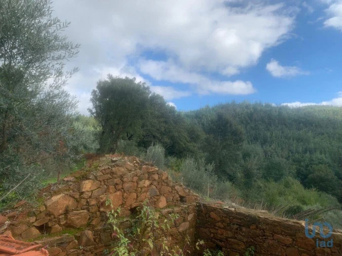Terreno para Venda em Pedrogão Grande