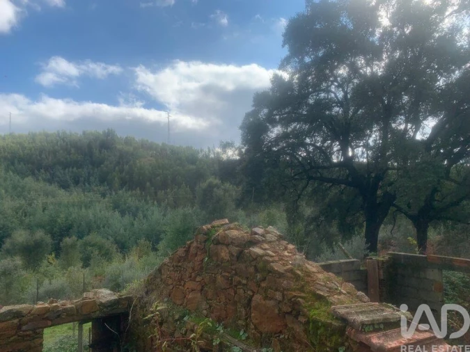 Terreno para Venda em Pedrogão Grande Foto 24