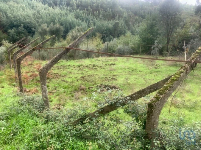 Terreno para Venda em Pedrogão Grande Foto 10