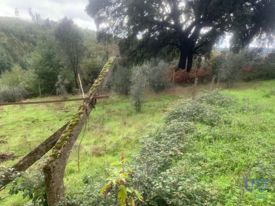 Terreno para Venda em Pedrogão Grande Foto 9