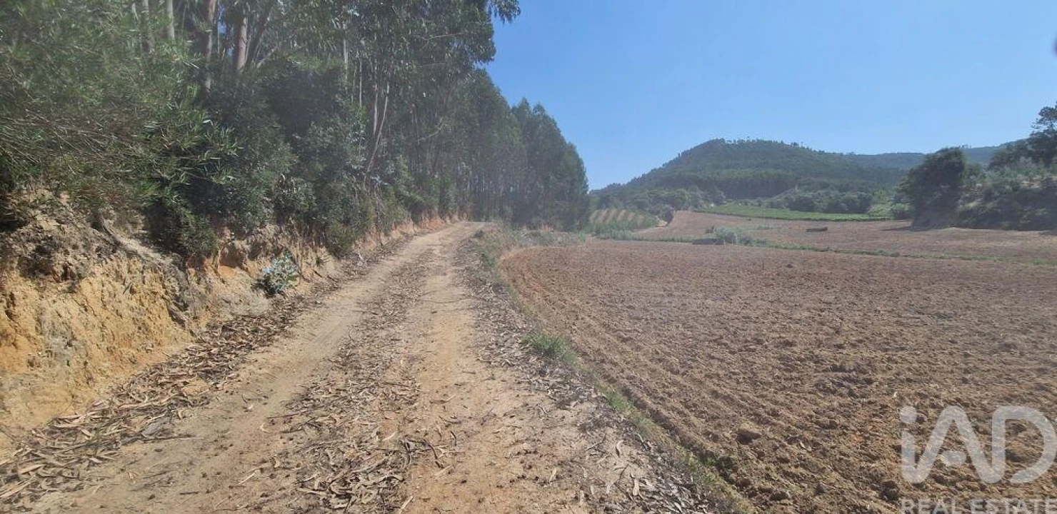 Terreno para Venda em Azueira e Sobral da Abelheira Foto 25