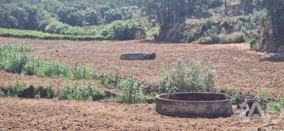 Terreno para Venda em Azueira e Sobral da Abelheira