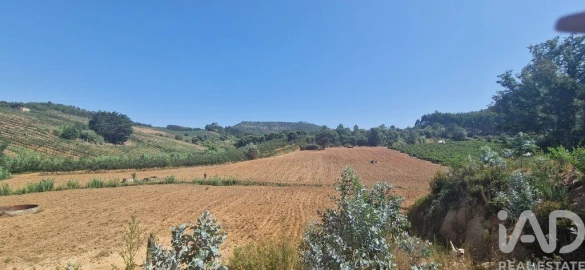 Terreno para Venda em Azueira e Sobral da Abelheira