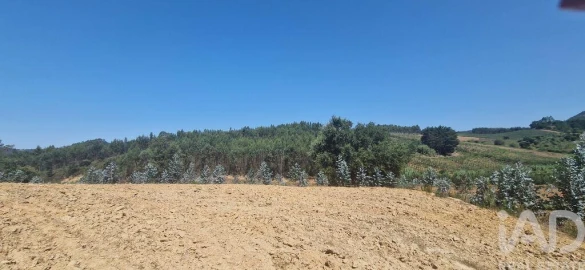 Terreno para Venda em Azueira e Sobral da Abelheira