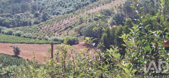 Terreno para Venda em Azueira e Sobral da Abelheira