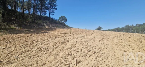 Terreno para Venda em Azueira e Sobral da Abelheira