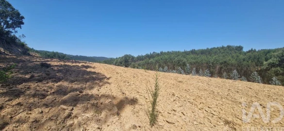 Terreno para Venda em Azueira e Sobral da Abelheira