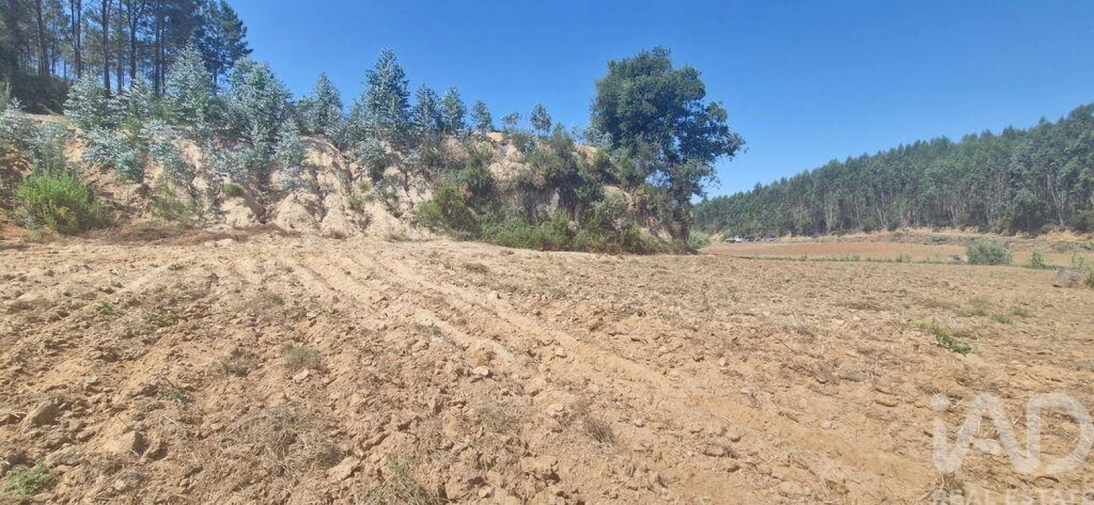Terreno para Venda em Azueira e Sobral da Abelheira Foto 16