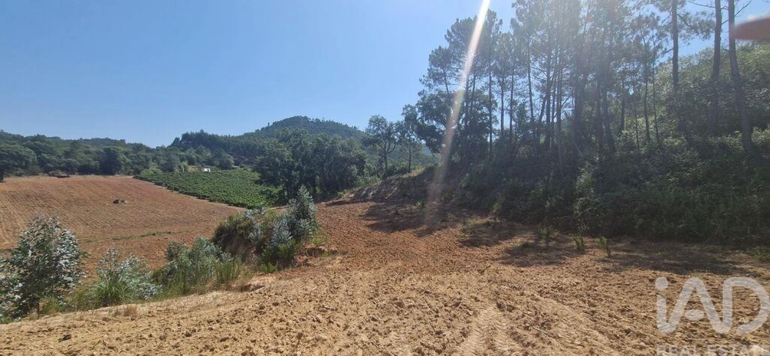 Terreno para Venda em Azueira e Sobral da Abelheira Foto 6
