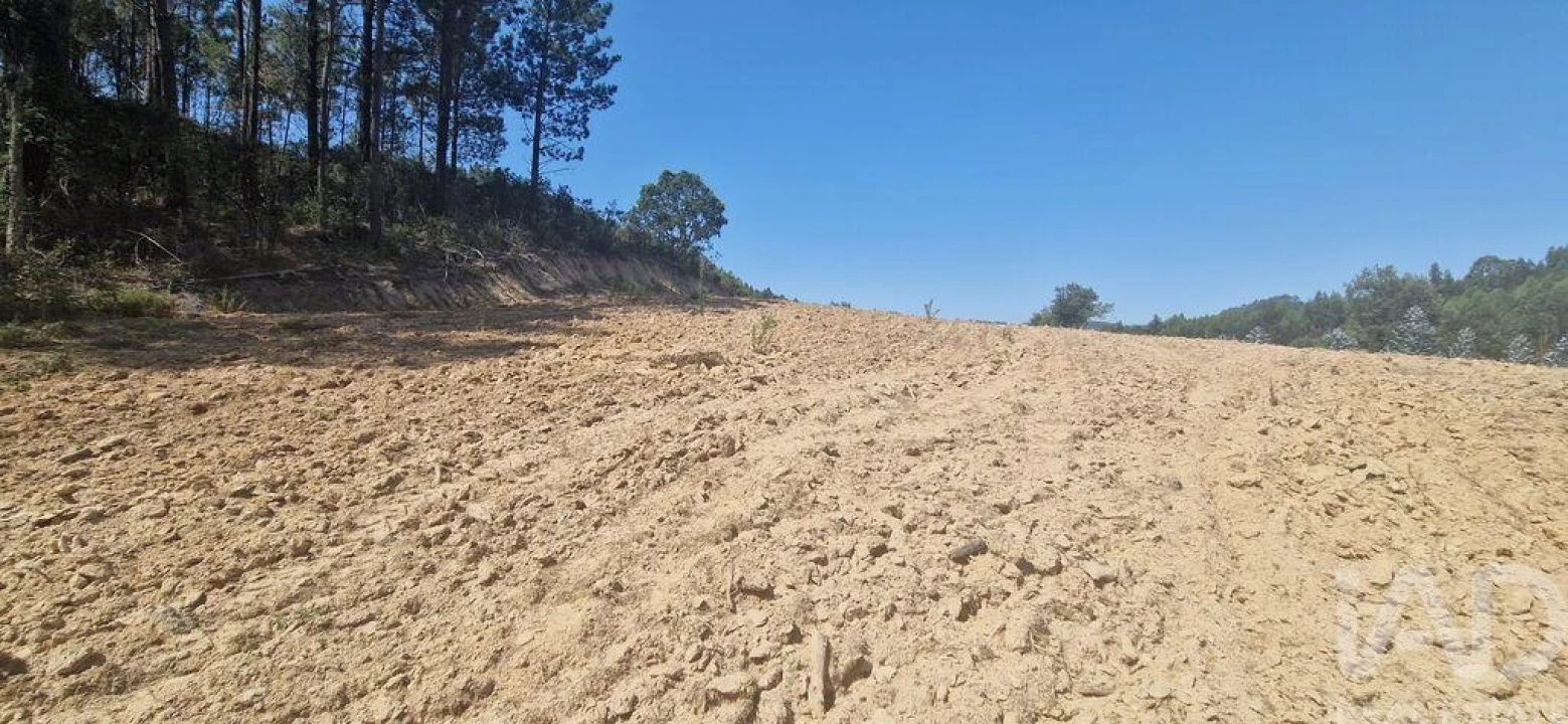 Terreno para Venda em Azueira e Sobral da Abelheira Foto 20