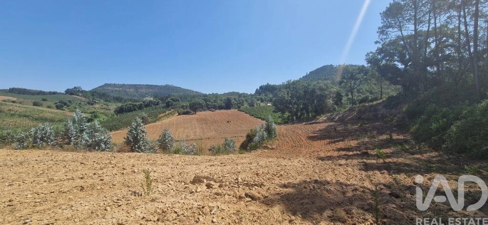 Terreno para Venda em Azueira e Sobral da Abelheira Foto 7