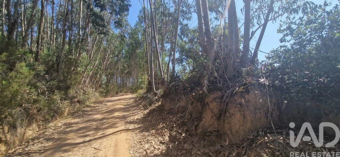 Terreno para Venda em Azueira e Sobral da Abelheira Foto 14
