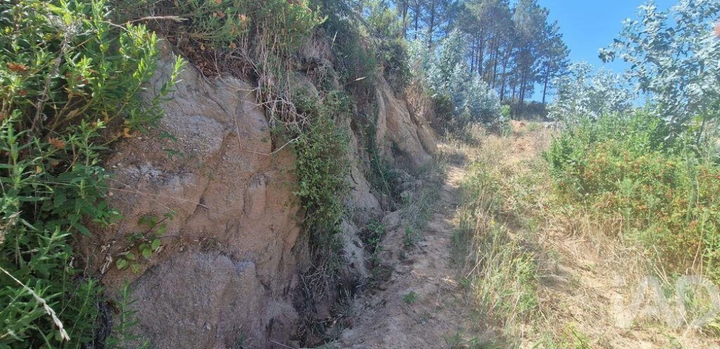 Terreno para Venda em Azueira e Sobral da Abelheira Foto 17