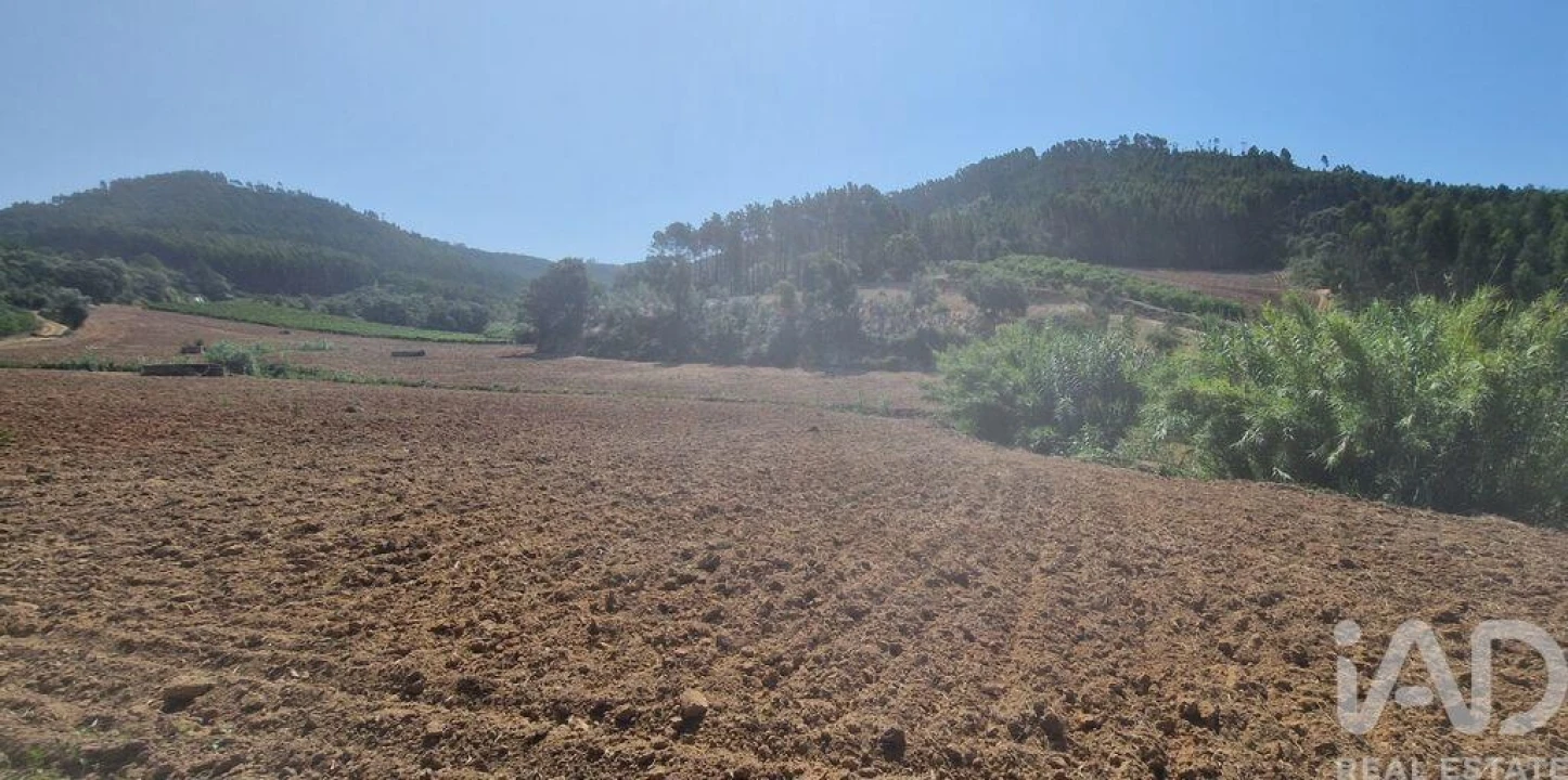 Terreno para Venda em Azueira e Sobral da Abelheira Foto 1