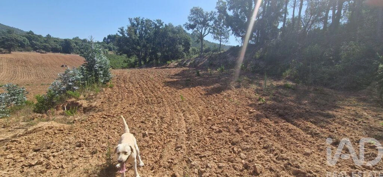 Terreno para Venda em Azueira e Sobral da Abelheira Foto 9