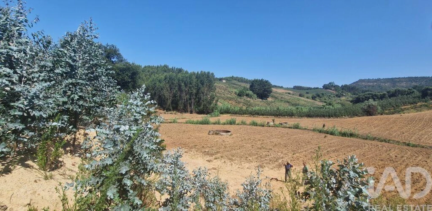 Terreno para Venda em Azueira e Sobral da Abelheira Foto 21