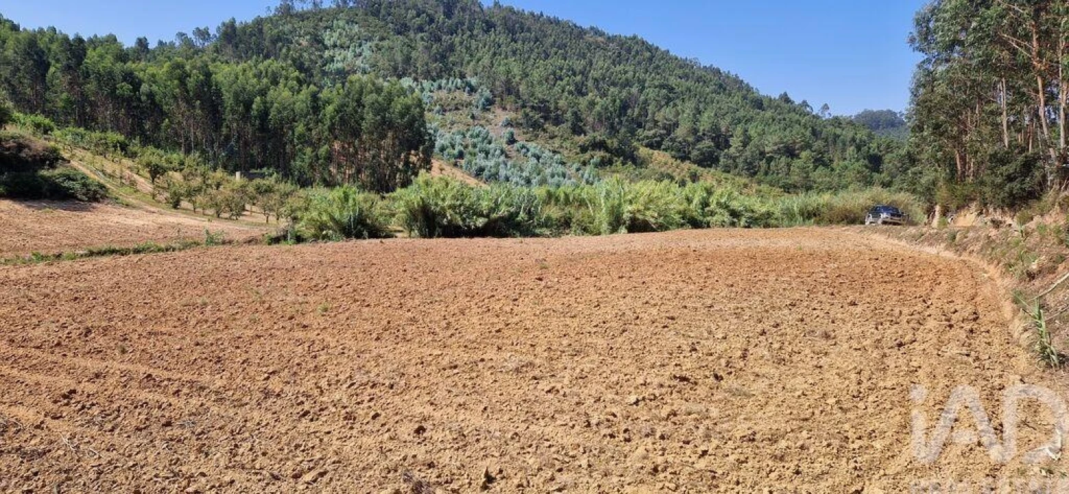 Terreno para Venda em Azueira e Sobral da Abelheira Foto 2