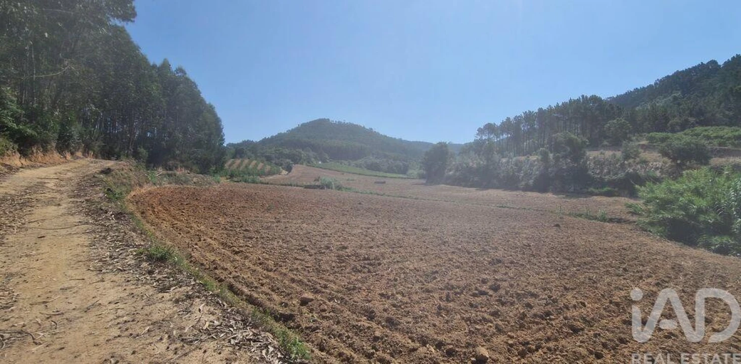 Terreno para Venda em Azueira e Sobral da Abelheira Foto 19