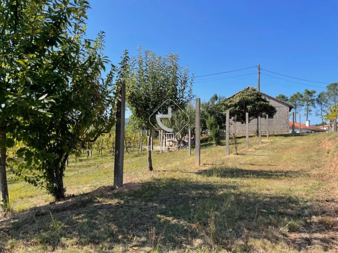 Terreno para Venda em Arcozelo Foto 27