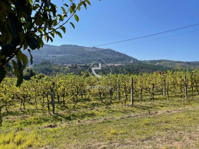 Terreno para Venda em Arcozelo Foto 13