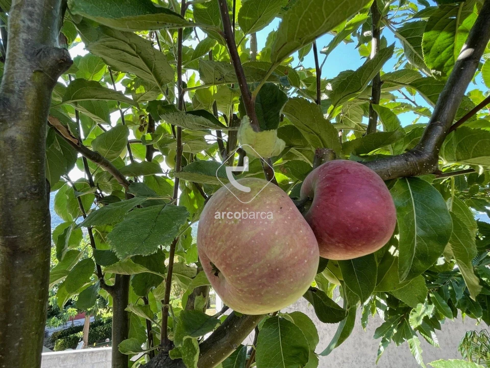 Terreno para Venda em Arcozelo Foto 32