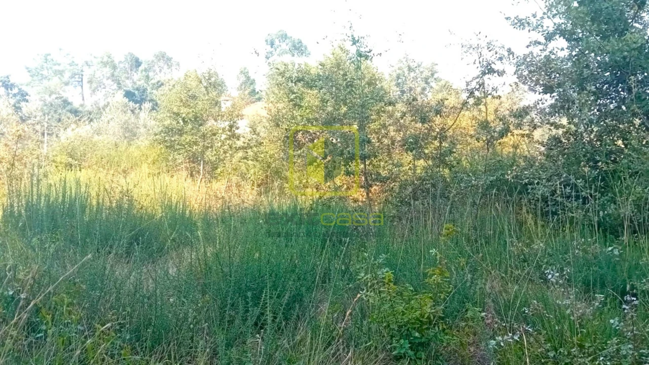 Terreno para Venda em Condeixa-A-Velha e Condeixa-A-Nova Foto 4