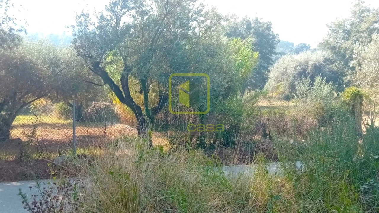 Terreno para Venda em Condeixa-A-Velha e Condeixa-A-Nova Foto 8