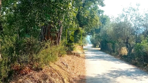 Terreno para Venda em Condeixa-A-Velha e Condeixa-A-Nova