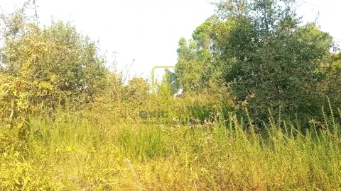 Terreno para Venda em Condeixa-A-Velha e Condeixa-A-Nova