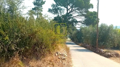 Terreno para Venda em Condeixa-A-Velha e Condeixa-A-Nova