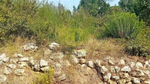 Terreno para Venda em Condeixa-A-Velha e Condeixa-A-Nova