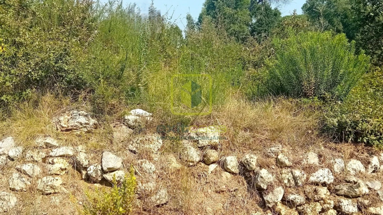 Terreno para Venda em Condeixa-A-Velha e Condeixa-A-Nova Foto 3