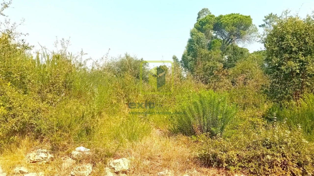 Terreno para Venda em Condeixa-A-Velha e Condeixa-A-Nova Foto 1