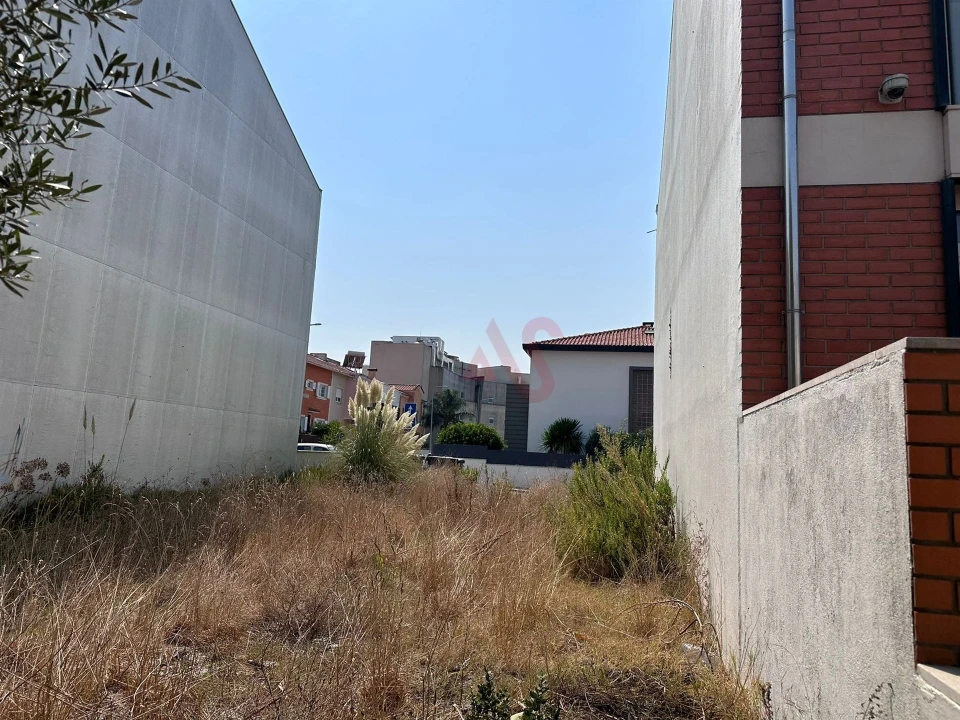 Terreno para Venda em Glória e Vera Cruz Foto 5