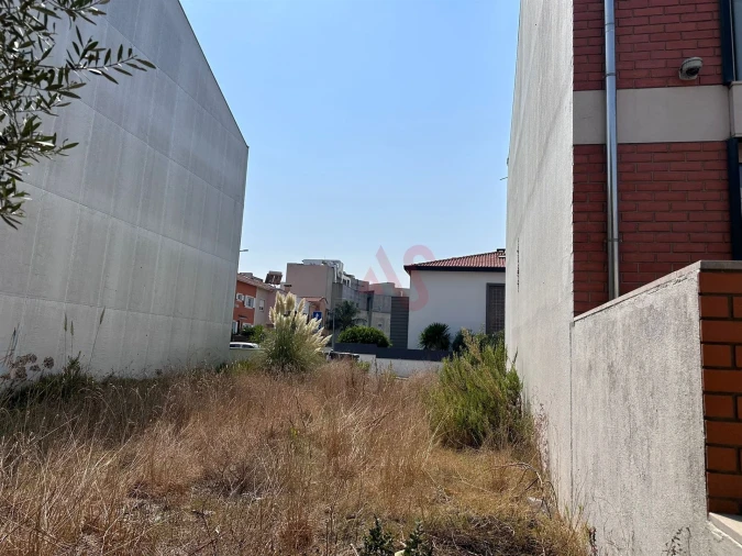 Terreno para Venda em Glória e Vera Cruz Foto 5