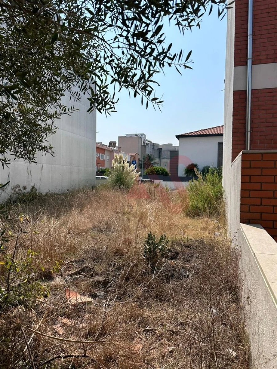 Terreno para Venda em Glória e Vera Cruz Foto 6