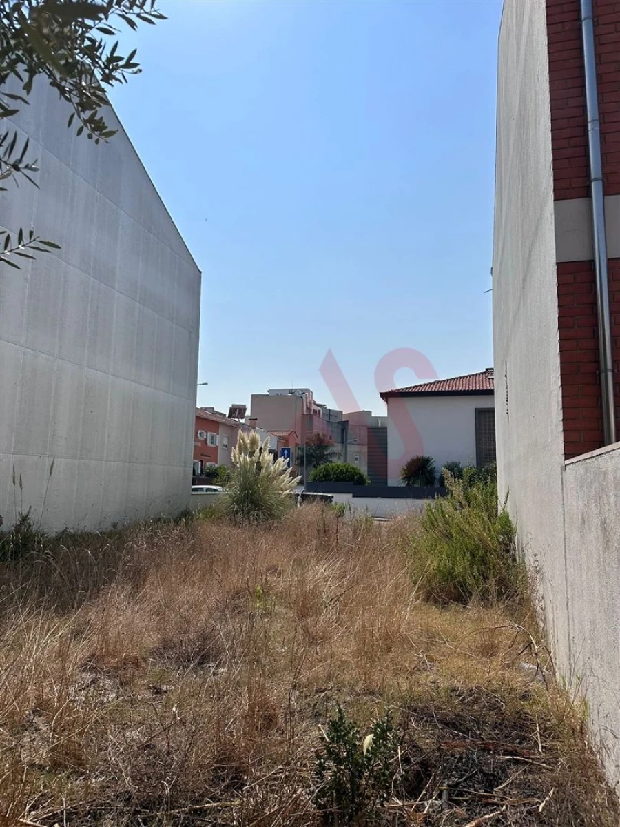 Terreno para Venda em Glória e Vera Cruz Foto 4