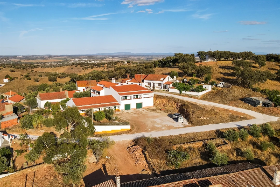 Moradia T7 para Venda em Terena (São Pedro) Foto 48