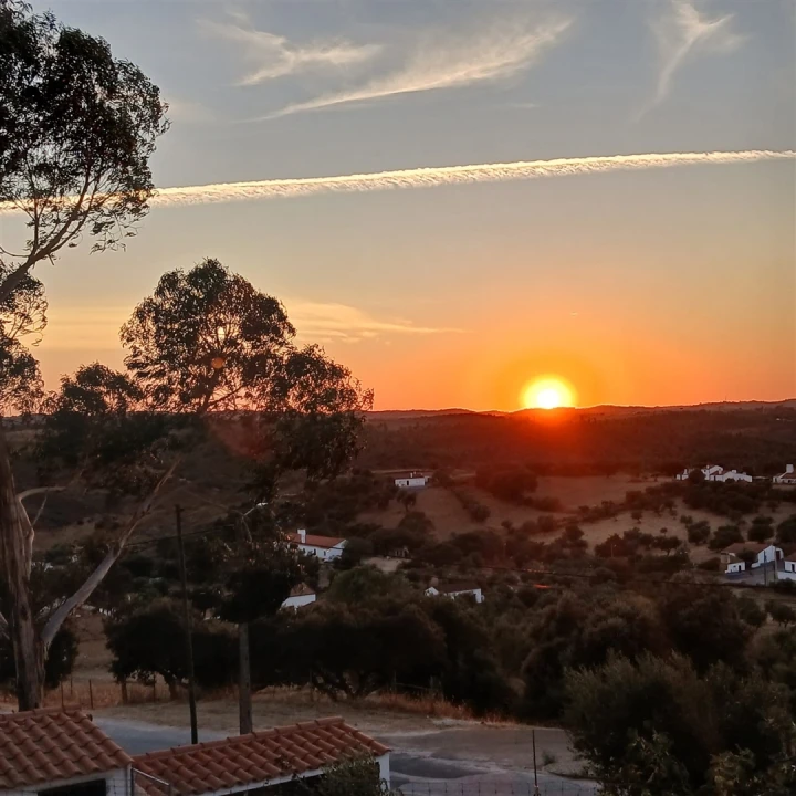 Moradia T7 para Venda em Terena (São Pedro) Foto 42