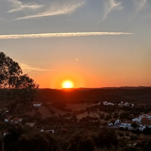 Moradia T7 para Venda em Terena (São Pedro) Foto 45