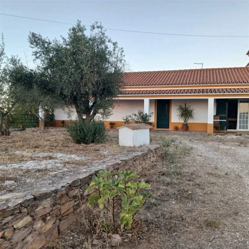 Moradia T7 para Venda em Terena (São Pedro) Foto 4