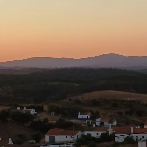 Moradia T7 para Venda em Terena (São Pedro) Foto 47