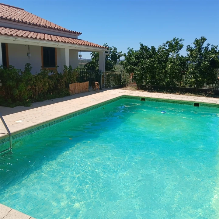 Moradia T7 para Venda em Terena (São Pedro) Foto 12