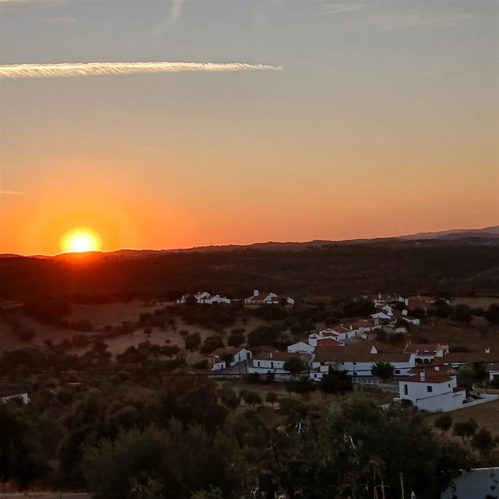 Moradia T7 para Venda em Terena (São Pedro) Foto 41