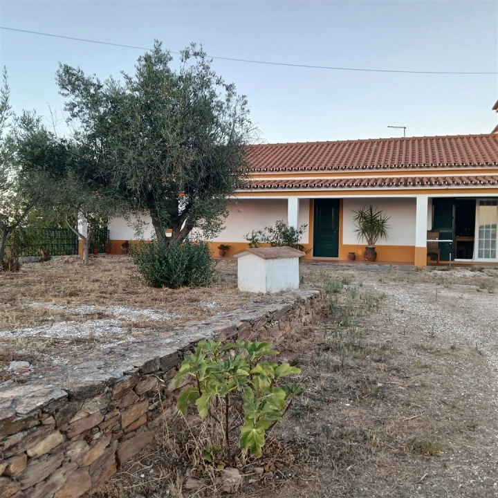 Moradia T7 para Venda em Terena (São Pedro) Foto 6