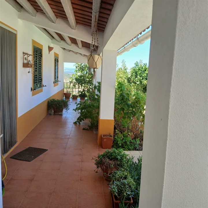 Moradia T7 para Venda em Terena (São Pedro) Foto 7