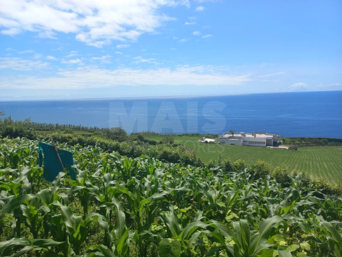 Terreno para Venda em Ponta Garça