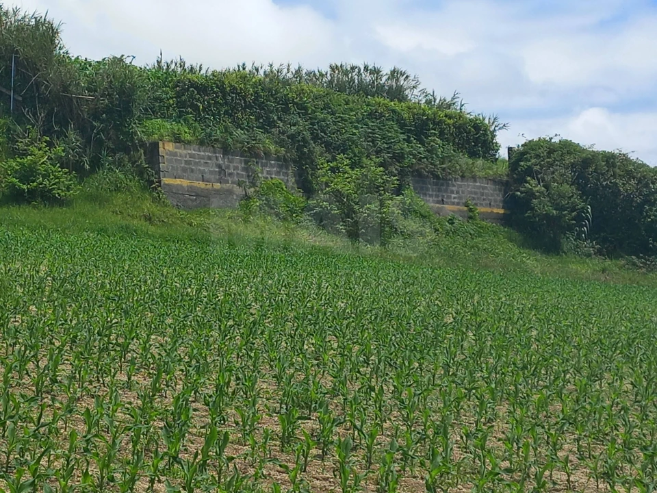 Terreno para Venda em Ponta Garça Foto 4