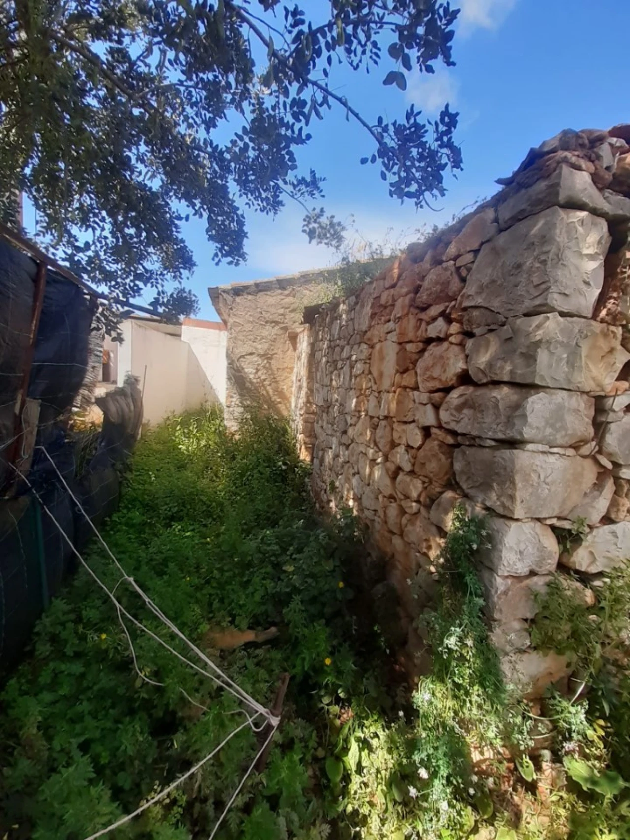 Quinta T2 para Venda em Tavira (Santa Maria e Santiago) Foto 4